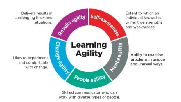 Fig.1 The Learning Agility model of Korn/Ferry
