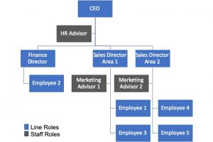 Fig.3: Line and Staff Organisation Model
