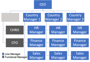 Fig.6: Divisional Organisation Model