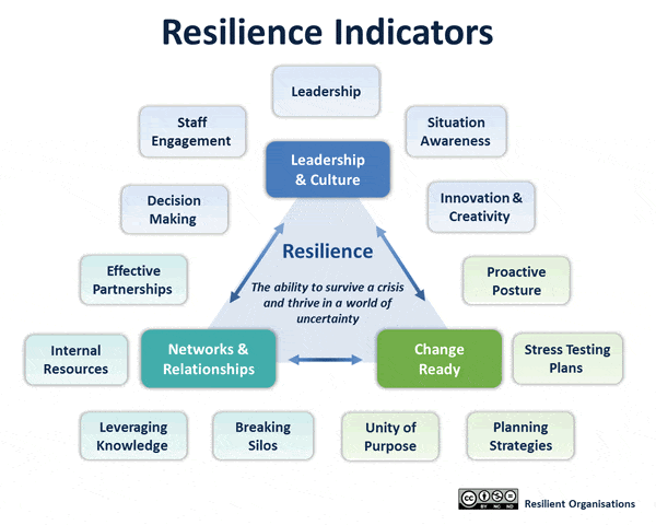 Fig.4: Organisation Resilience Indicators. Source: Resilient Organizations.