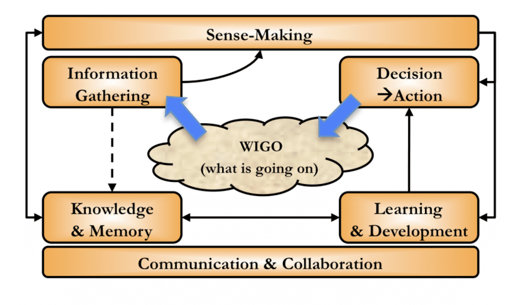 Developing Organisational Intelligence 2