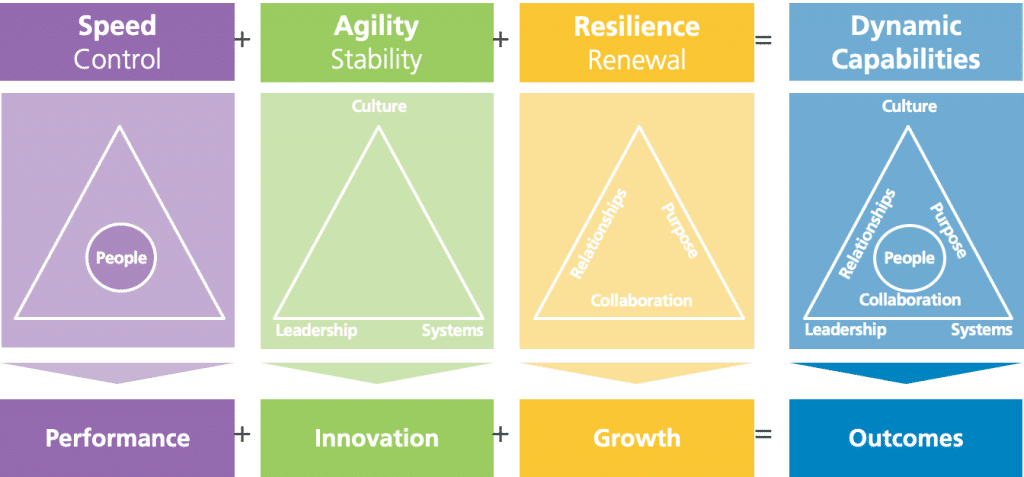The Performance Triangle (Michel, 2013)
