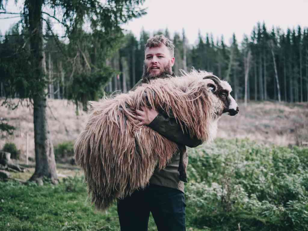 Fig.4: A shepherd in Norway. The Worker Metaphor of the Work as Sustenance Discourse. Photo by FOYN on Unsplash